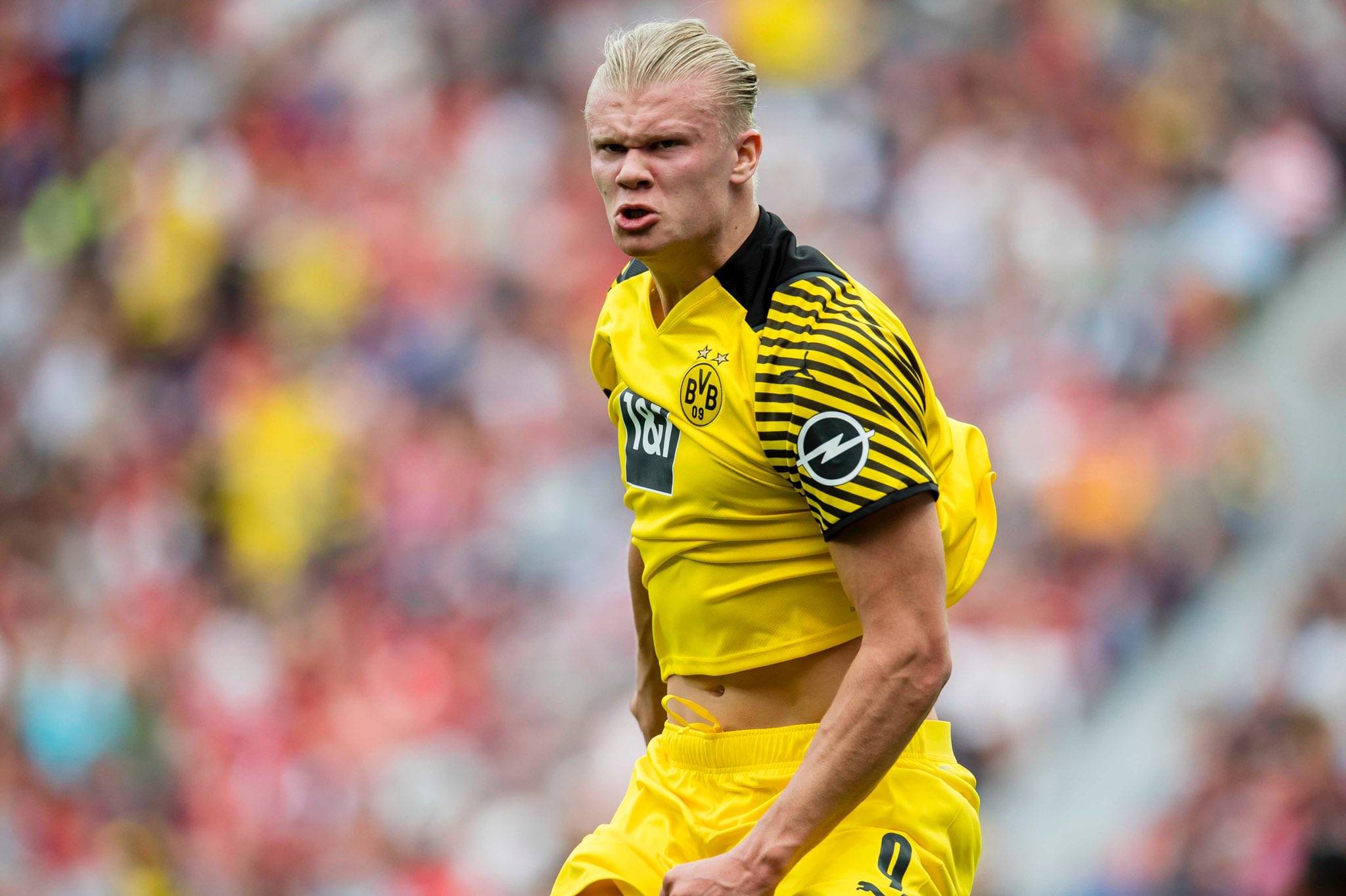 稳定范式 稳定范式